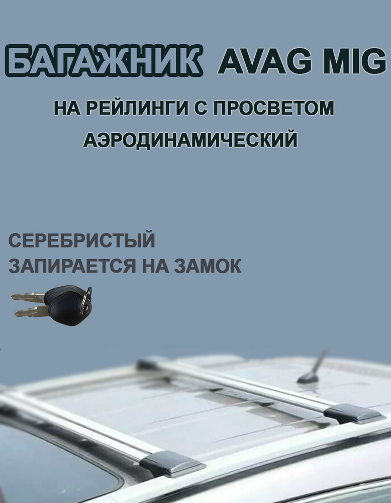 Skoda Fabia 2007 - 2015 II универсал 5 дв. Багажник на рейлинги AVAG MIG 54G серебристый #1