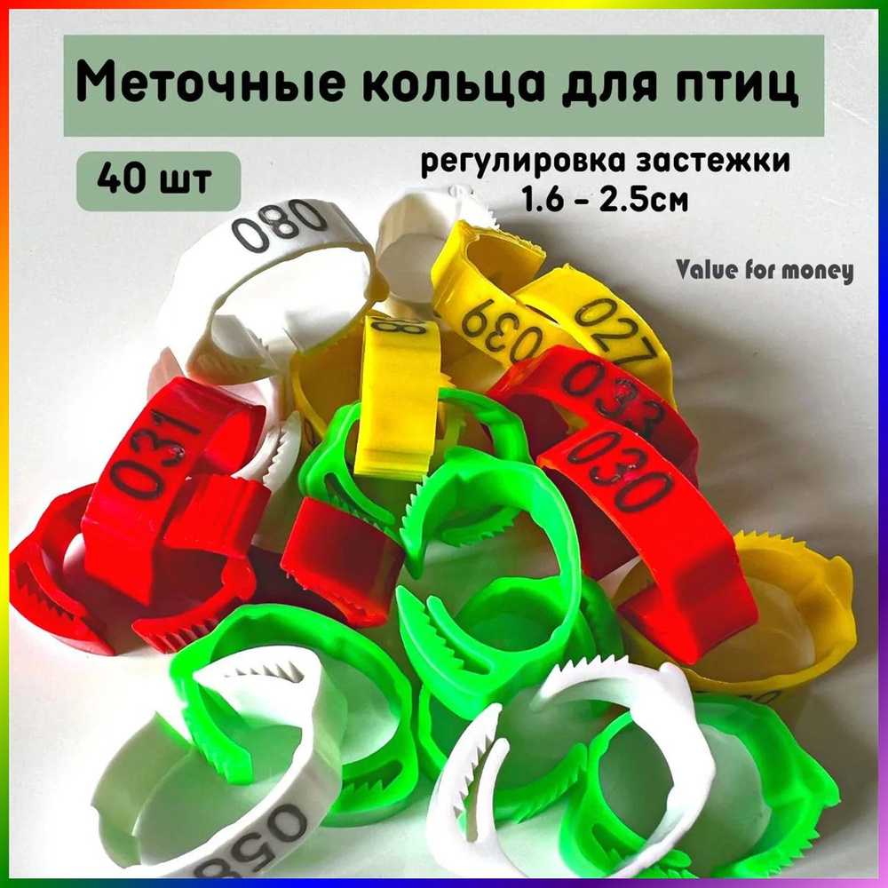 40